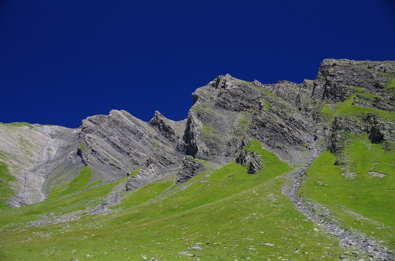 24h Hike Mammut_Ochsner 'Grosse Scheidegg _ Schwarzhorn 2927m' 18_08_2012 (92).JPG